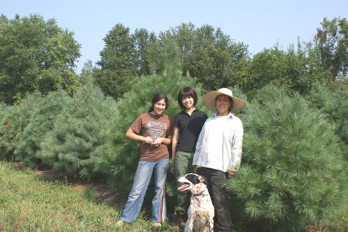 Cathole Bend Christmas Trees in Kentucky