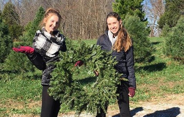 Twin Bridges Tree Farm in Kentucky