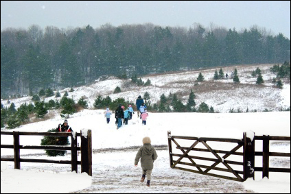 Our Gates are Open - Kentucky Christmas Tree Farm Association